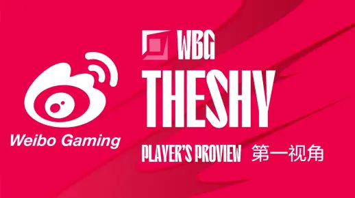 【S13冒泡赛】8.7 TheShy第一视角 WBG vs TES