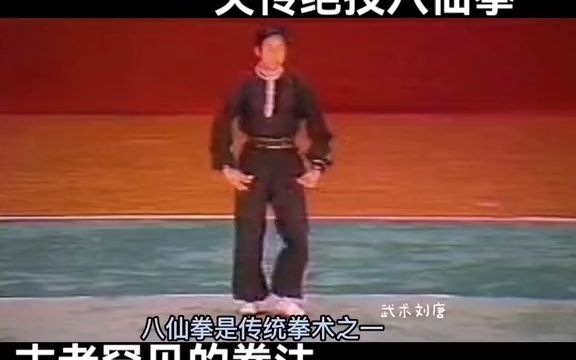 【武术运动】八仙拳,失传绝技八仙拳,古老罕见的拳法.哔哩哔哩bilibili