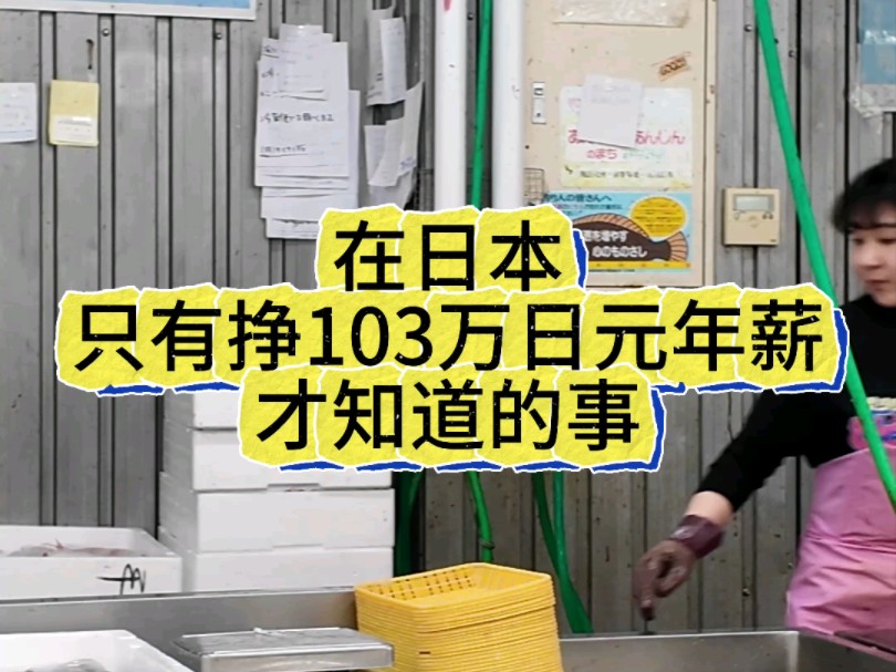 在日本只有挣,103万日元年薪的人才知道的事哔哩哔哩bilibili