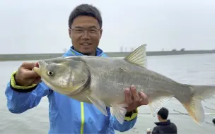 下载视频: 开启鲢鳙盛宴，抽到手发软