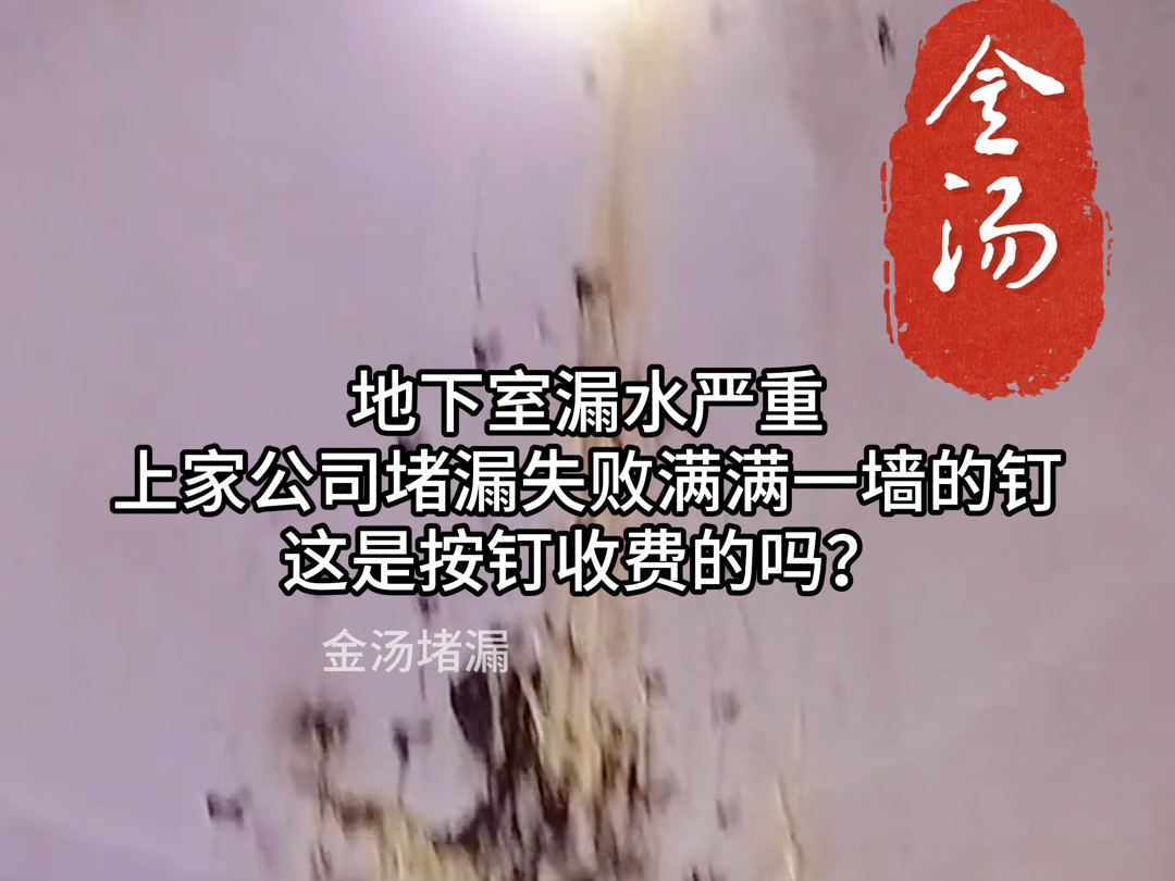 地下室漏水严重,上家公司堵漏失败满满一墙的钉,这是按钉收费的吗?哔哩哔哩bilibili