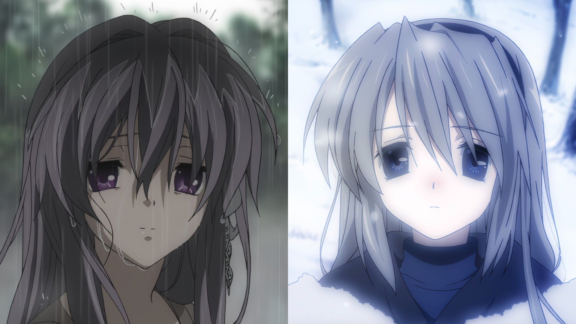 雪中智代雨中杏,你还记得她们的故事吗?