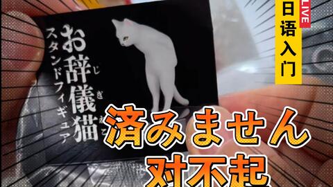 日 済みません 土下座 道歉的姿势 哔哩哔哩