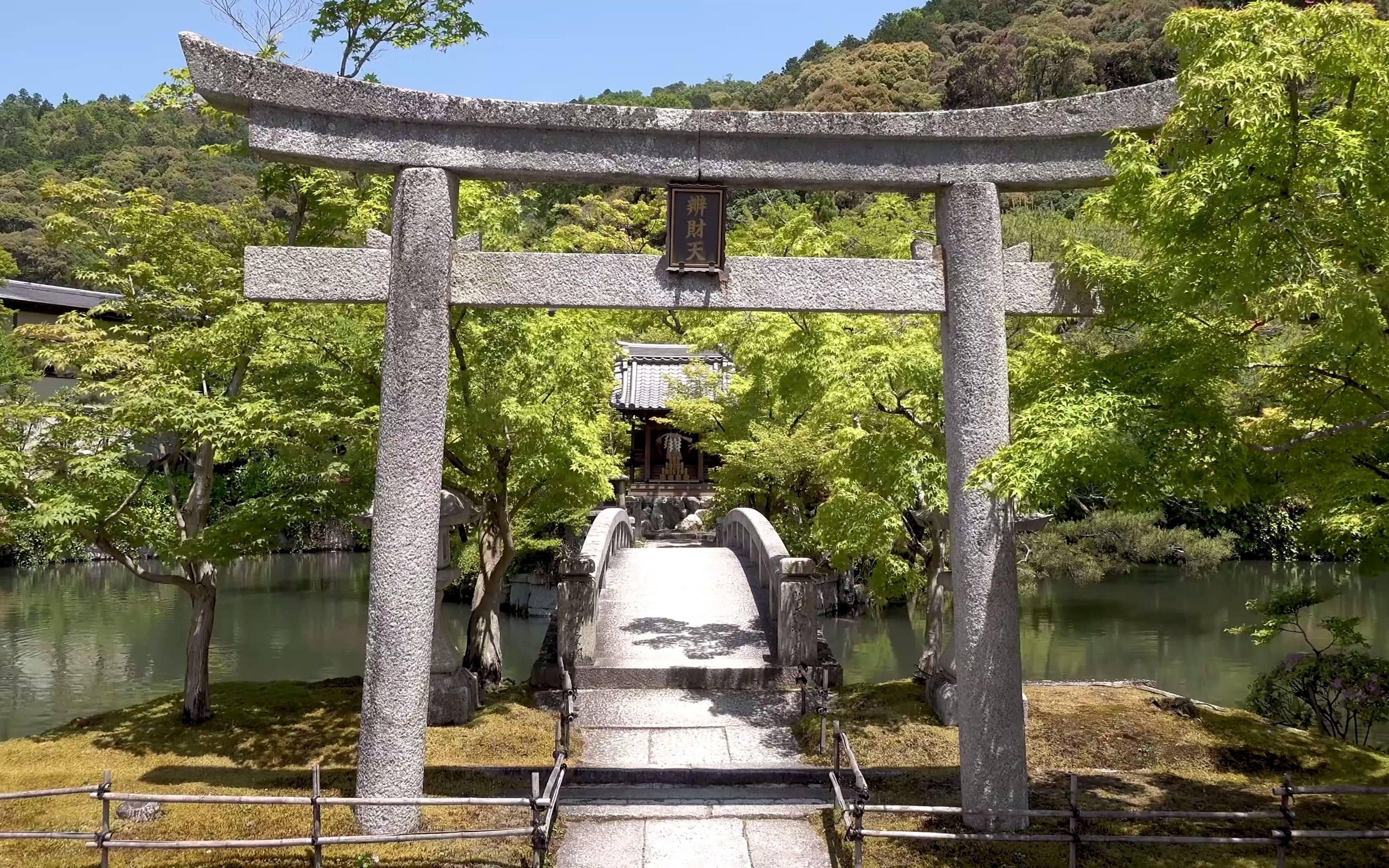 【4k】日本京都·永观堂(禅林寺) eikan-do