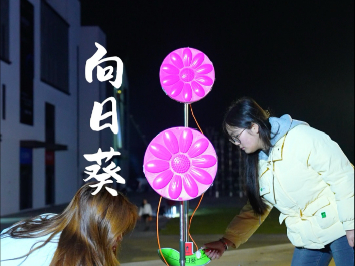 向日葵烟花哔哩哔哩bilibili