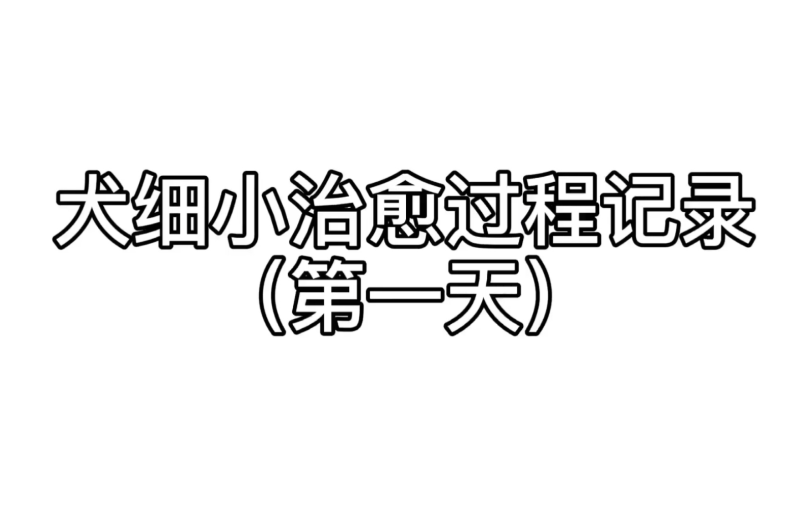 幼犬细小治愈过程第一天,细小病毒前期症状哔哩哔哩bilibili