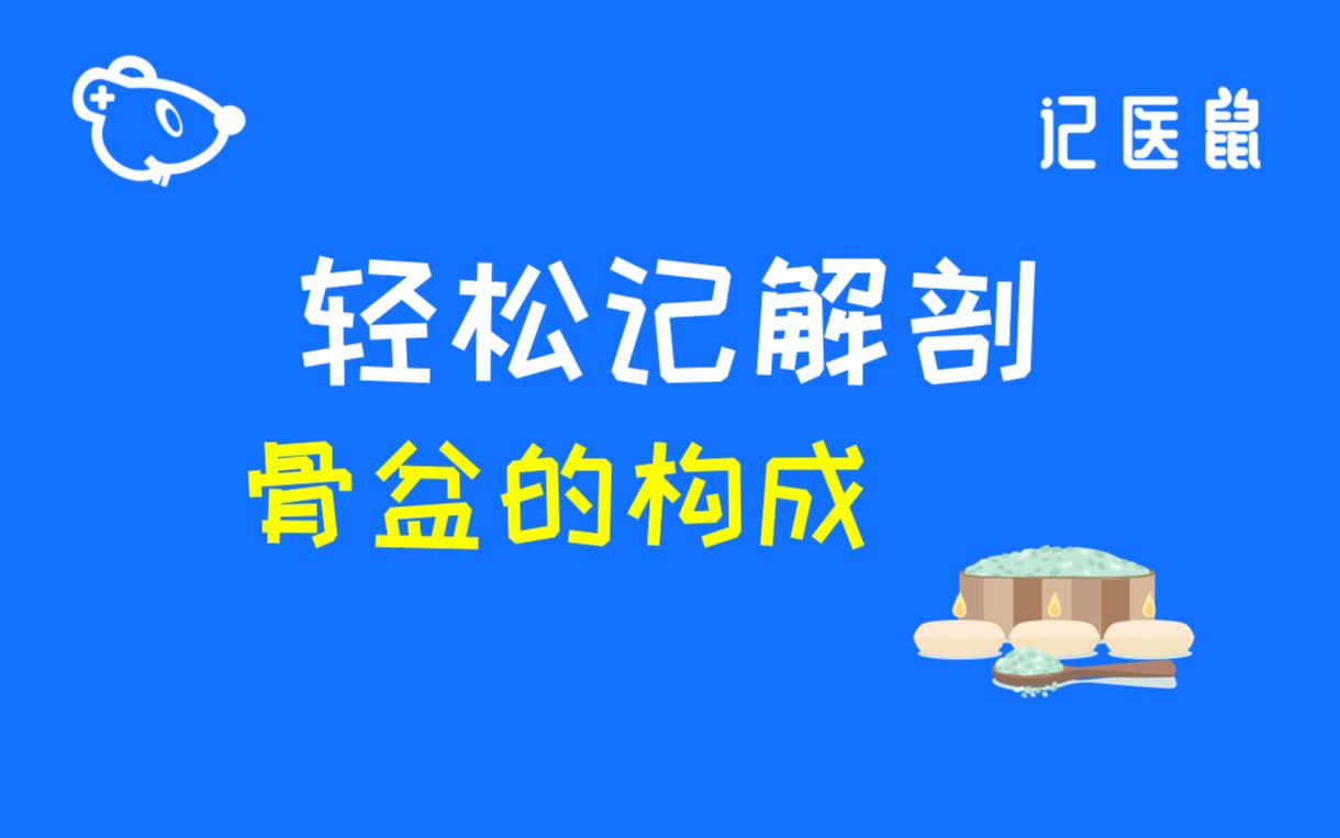 52 解剖 轻松记 骨盆的构成哔哩哔哩bilibili