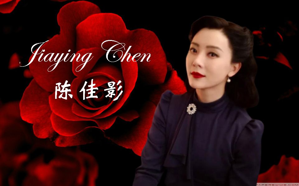 红玫瑰易燃易爆炸陈佳影个人向