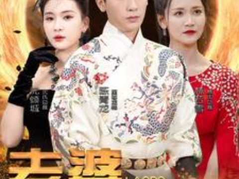 老婆我真不是ds龙帅啊ds