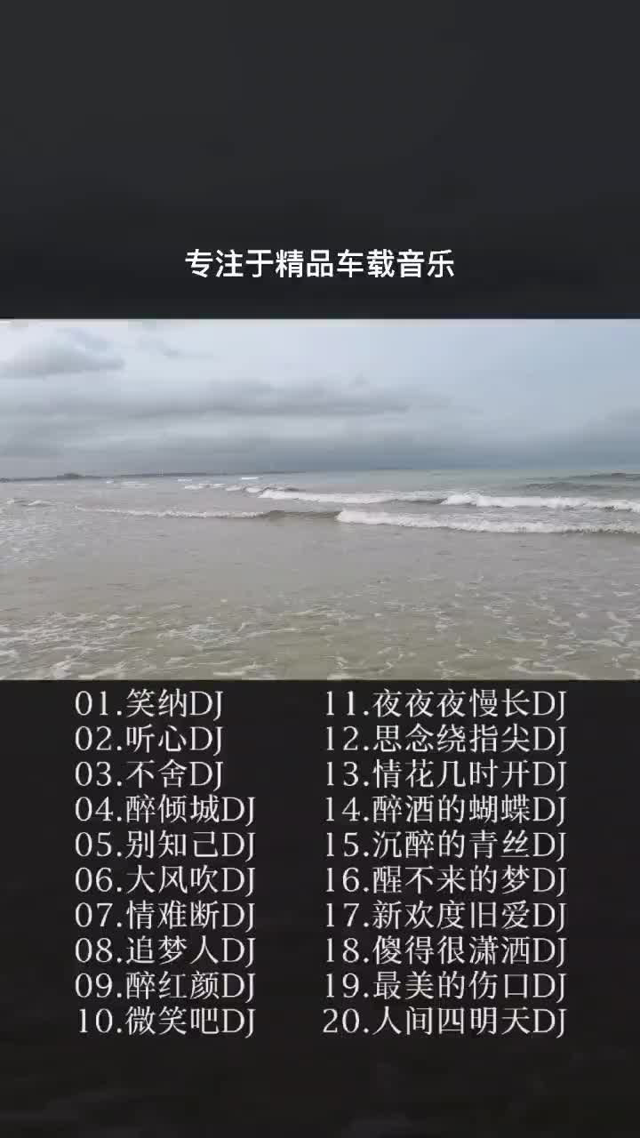 [图]没有你的日子真的好孤单车载dj