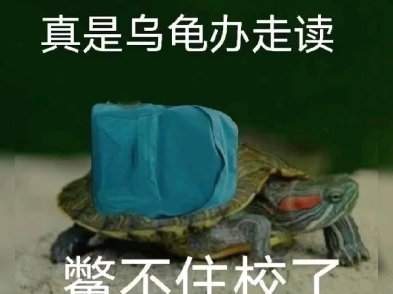 B站的那些有趣梗图哔哩哔哩bilibili