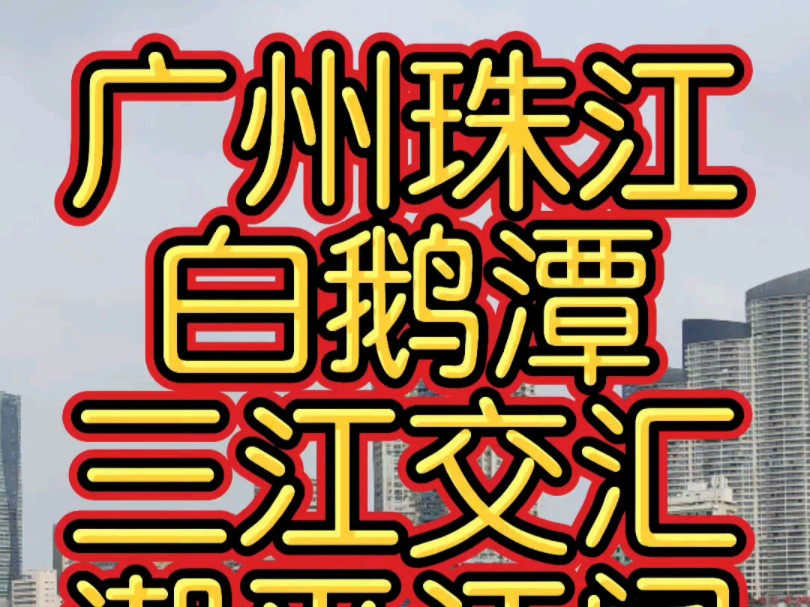 广州珠江白鹅潭,江对岸是新建成的白鹅潭大湾区艺术中心哔哩哔哩bilibili