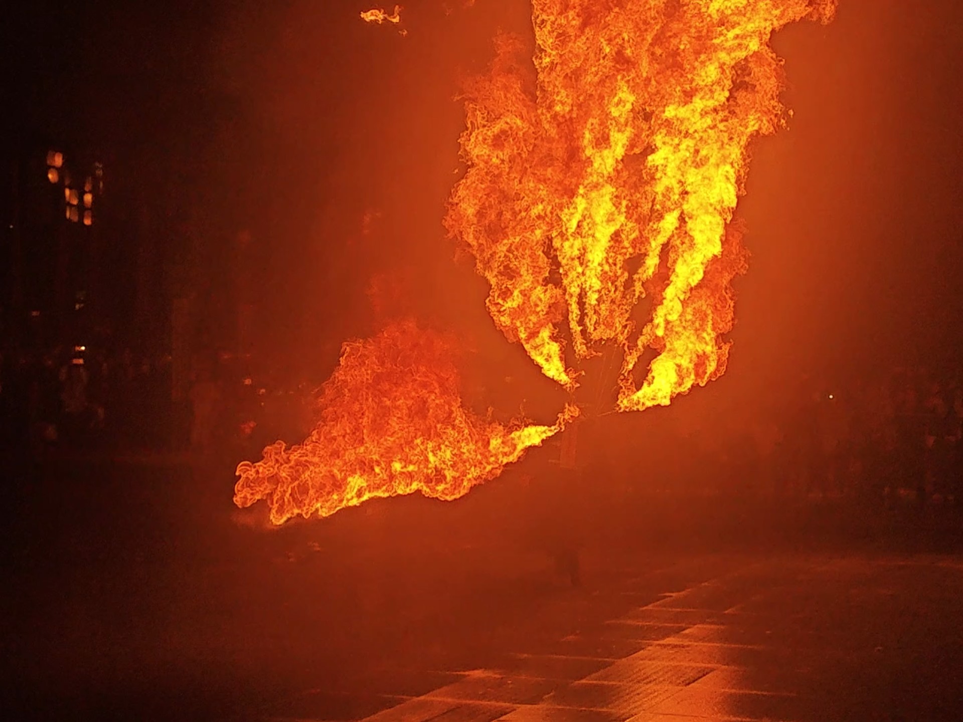 火虎(2025.10.6录于中华郡)