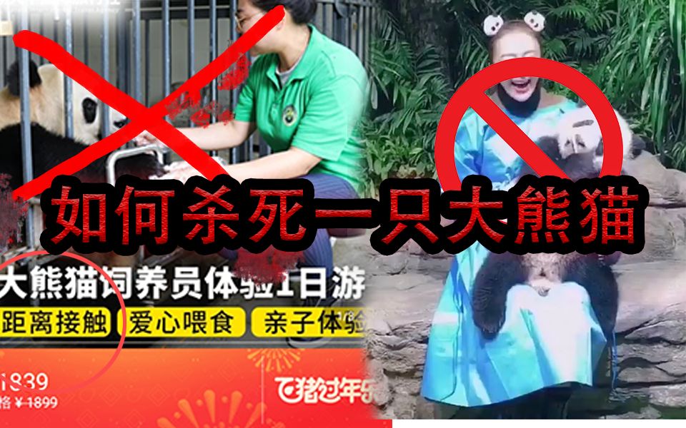 [图]你知道如何杀死一只大熊猫吗？为悼念2019年最可爱的星晴宝贝，请听来自一只大熊猫的求助