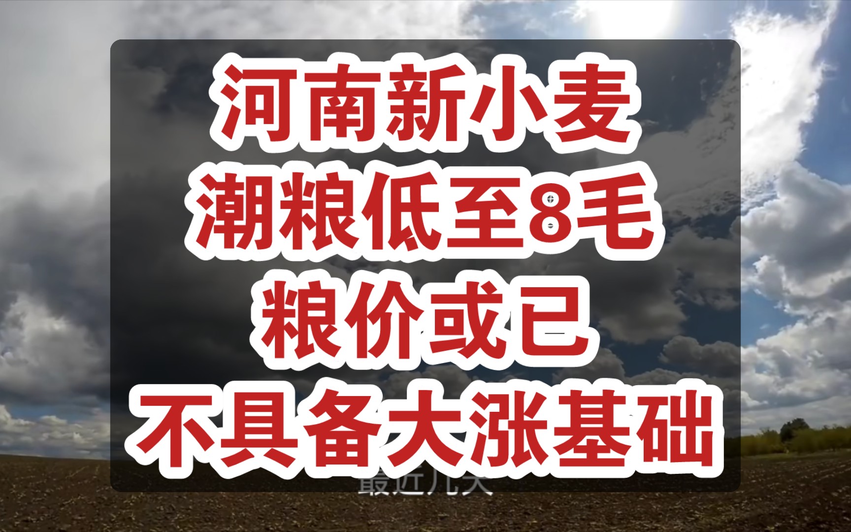 农忙来临雨水不断,产粮大省河南新小麦潮粮低至8毛,国内粮食价格或已不具备大涨的基础哔哩哔哩bilibili