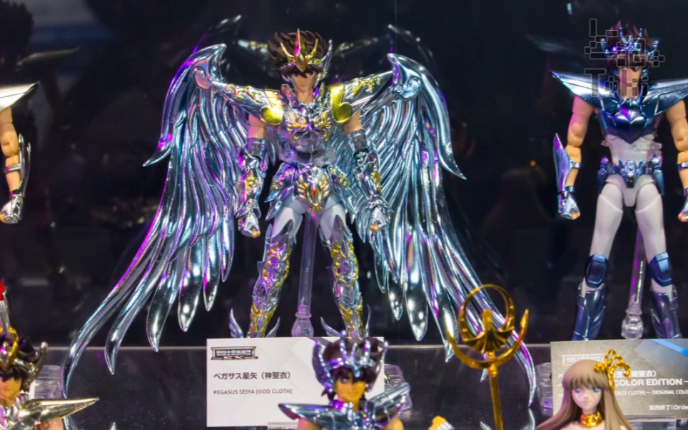 万代 参考出品 圣衣神话ex 天马座星矢 神圣衣 展示实拍