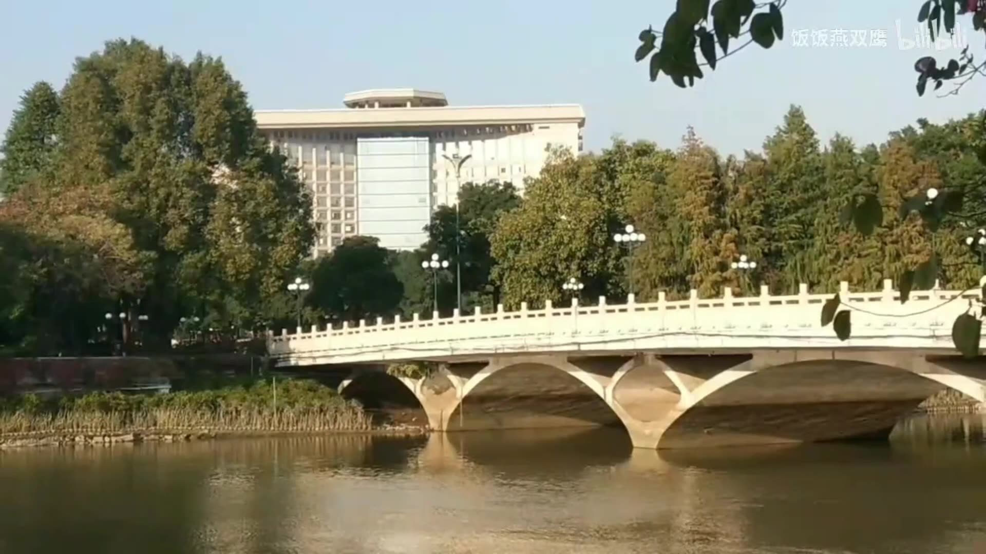 广东省委大楼图片图片