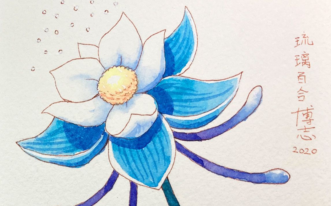 钢笔淡彩原神提瓦特风物志之璃月篇琉璃百合