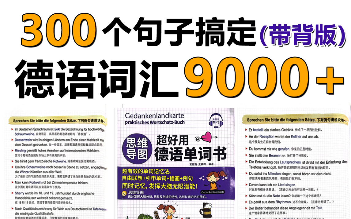 【德语词汇】用300个句子牢记9000个德语单词,单词搭配例句,每天5分钟扩充词汇量!哔哩哔哩bilibili