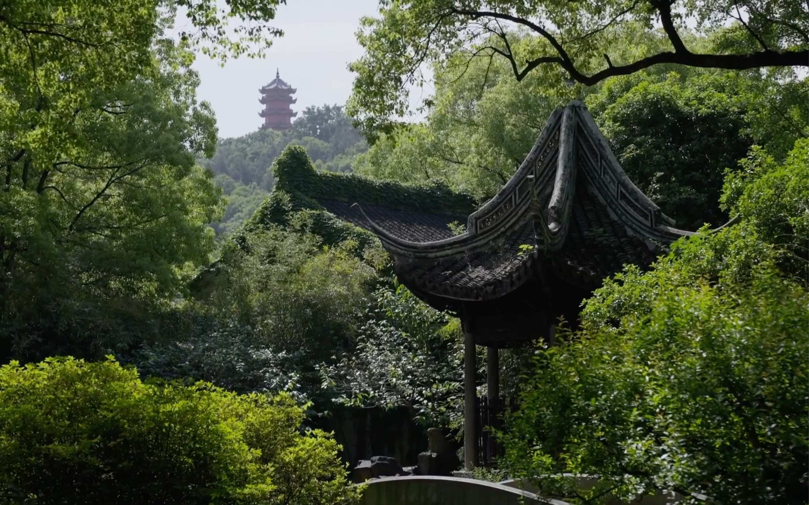 【惠山古镇】乾隆钟爱的江南名园｜隐藏在惠山古镇的“世外桃源”｜古典园林寄畅园
