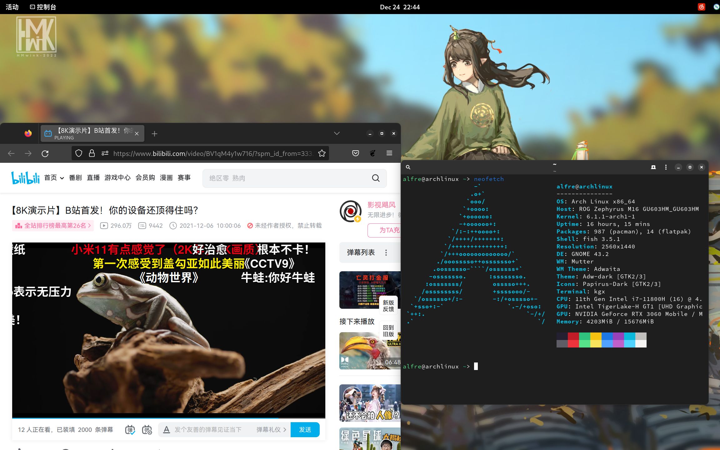 【Linux日常小技巧】在Archlinux系统上流畅的在线观看8k视频哔哩哔哩bilibili