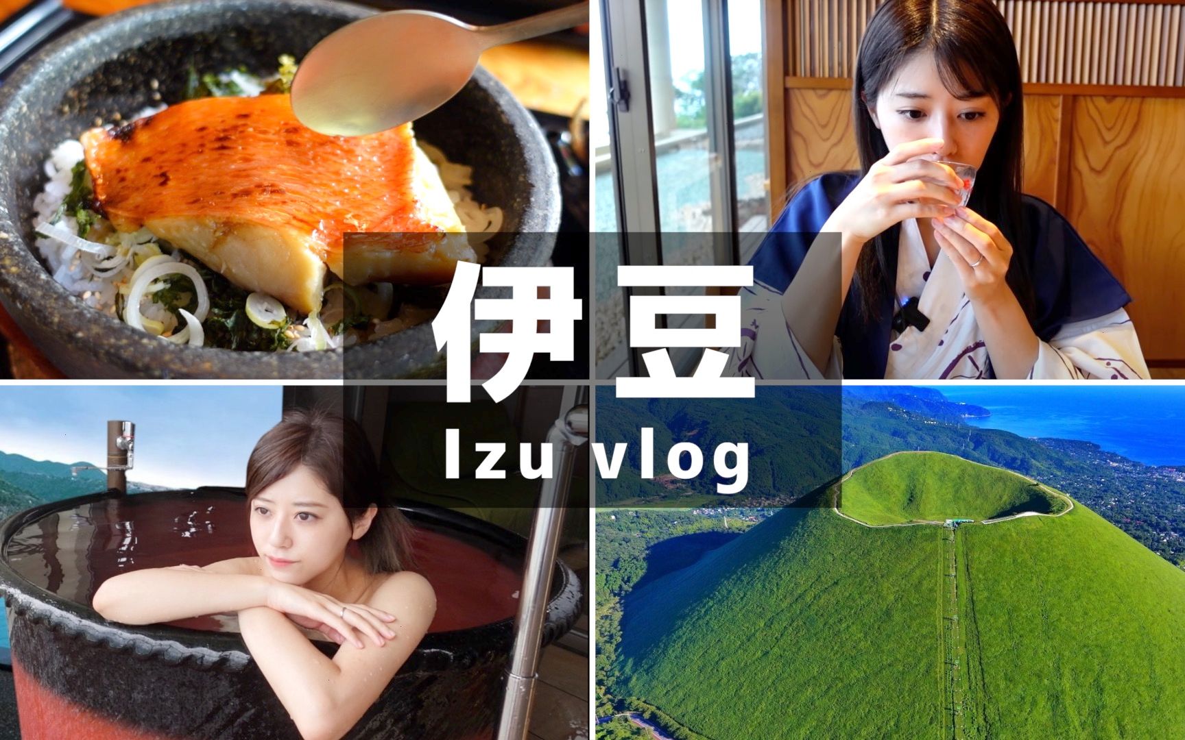 【伊豆vlog】这里有放养动物的动物园!还有《你的名字》取景地!哔哩哔哩bilibili