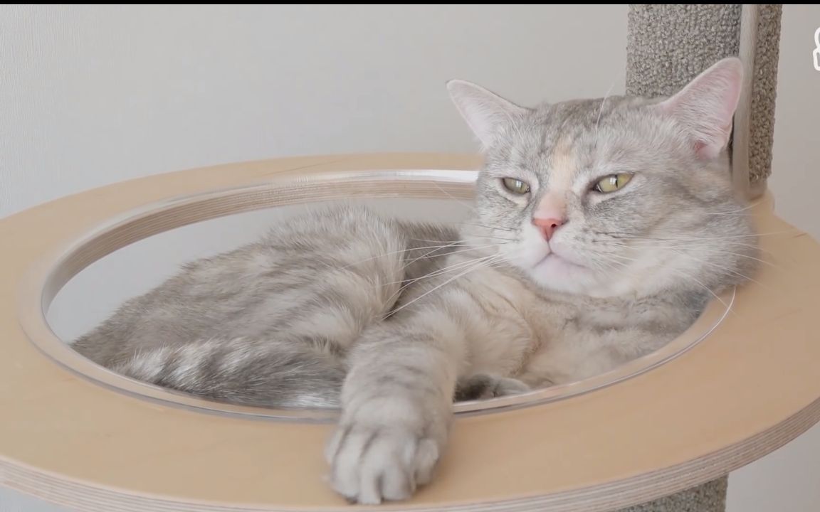 【creamheroes】【中字】lulu又学会了新技能