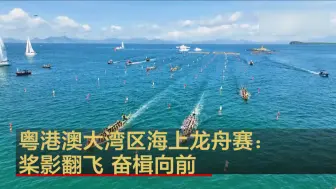 Скачать видео: 粤港澳大湾区海上龙舟赛：桨影翻飞 奋楫向前