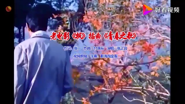 怀旧电影金曲1980《枫》插曲《青春之歌》演唱:张正宜哔哩哔哩bilibili