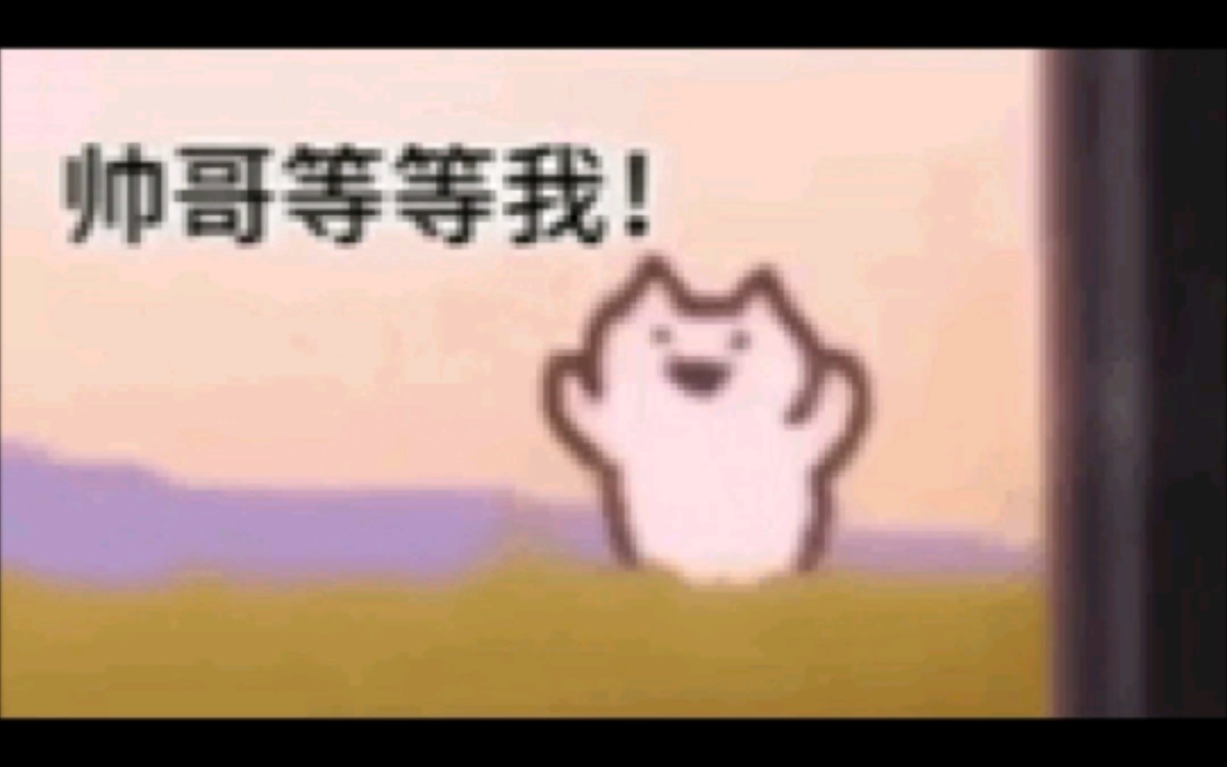 表情包素材哔哩哔哩bilibili