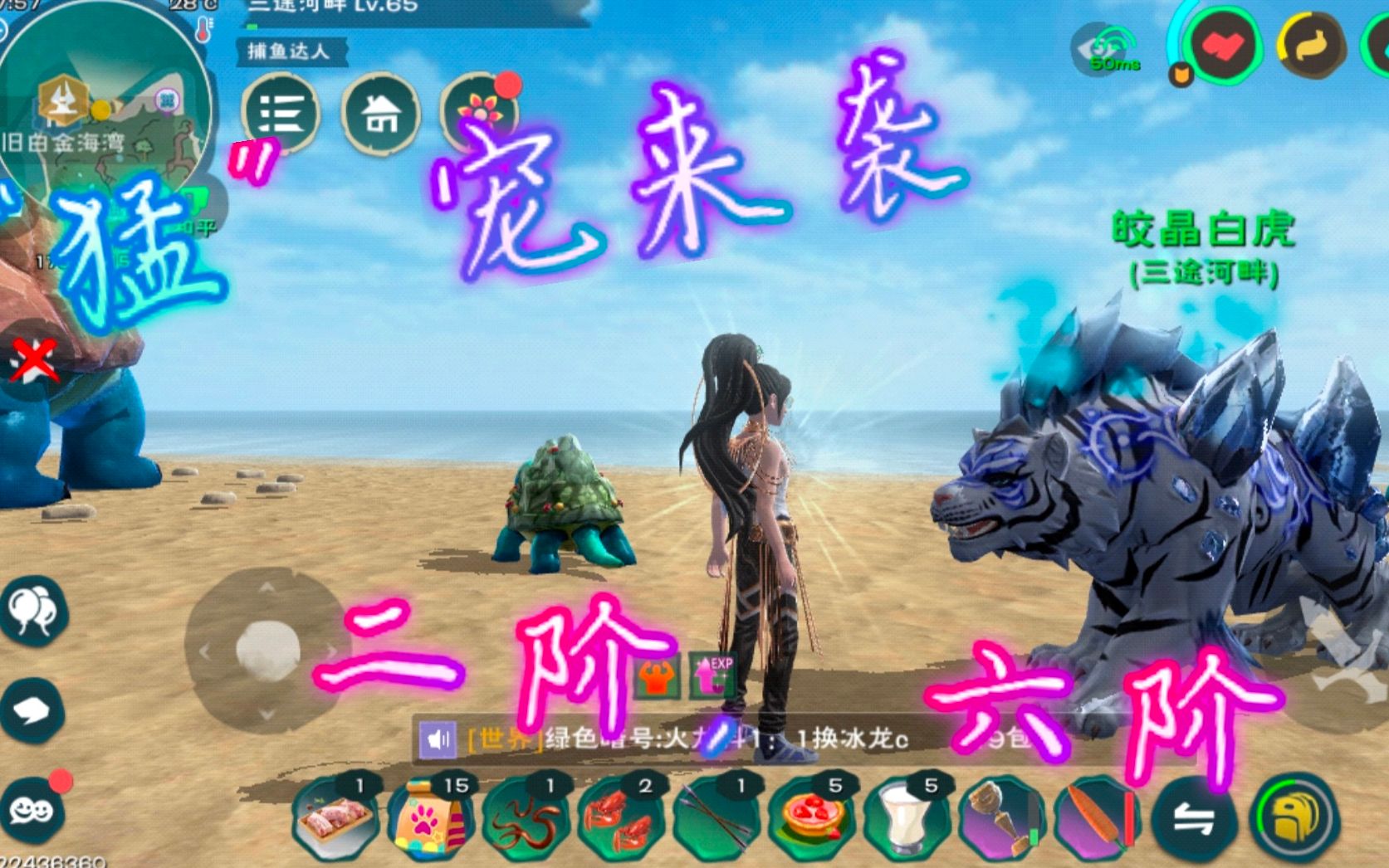 活动作品创造与魔法新版平民神宠皎晶白虎氪金只是增加它的颜值