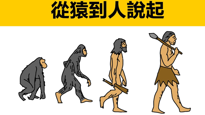 原始人类|森林古猿|最早的猿人|智人|原始社会怎么进化到
