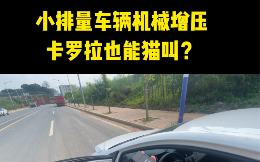 模拟机械增压的猫叫,只是一个小玩具,跟排量没有关系,给油嘎嘎猫叫