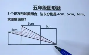 Descargar video: 五年级：求阴影面积，利用分割法轻松巧解