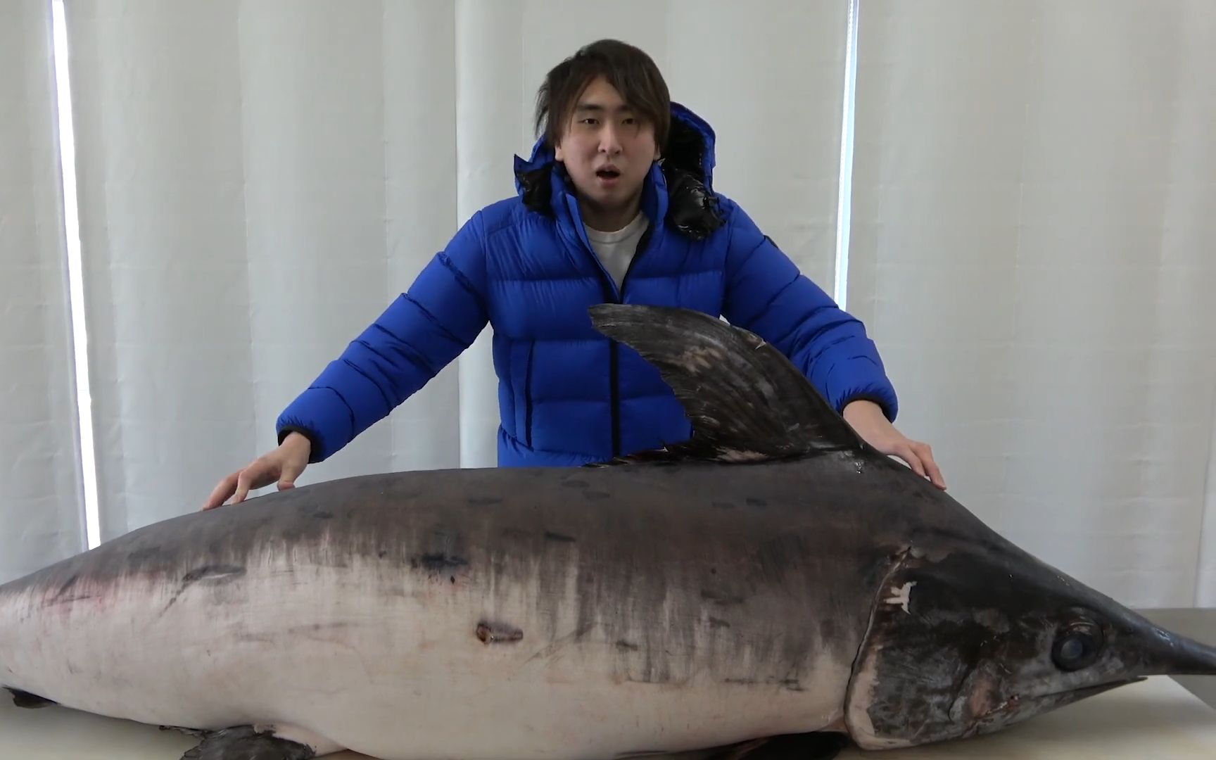 将130千克的剑鱼三枚分切,做成刺身和鱼肉涮锅!【200311】