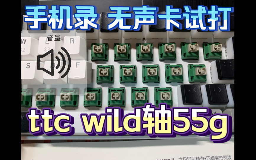 ttc wild轴55g试打 无声卡 手机直出哔哩哔哩bilibili