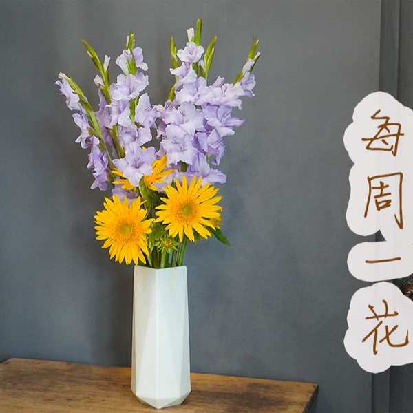 【大叔说花】每周一花158/紫色剑兰唐菖蒲向日葵格桑花鲜花搭配 
