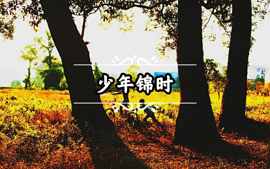 吉他弹唱少年锦时cover赵雷