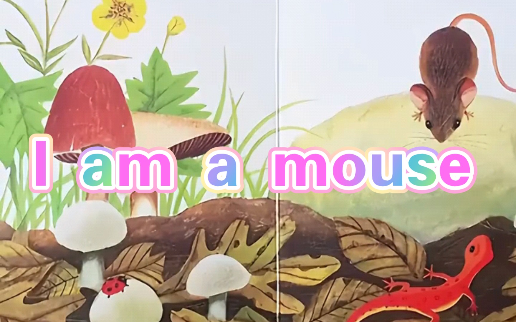 【大学生每日英语阅读】我是一只老鼠99: i am a mouse.