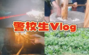 警校生Vlog | 春节回乡见闻 | 农村年味浓 | 传承习俗文化