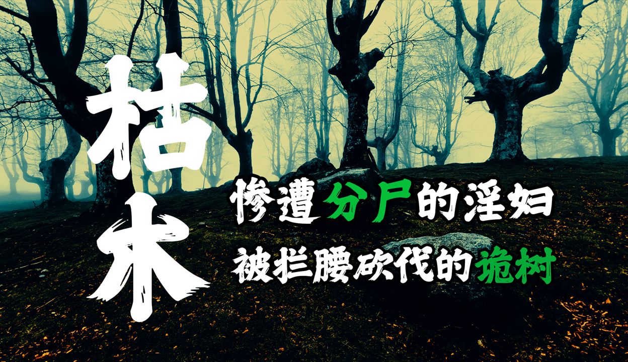 【 山村怪谈 】被拦腰砍伐的诡异枯树 丨 民间故事丨恐怖故事丨鬼怪故事丨灵异事件 丨民间故事丨恐怖故事丨鬼怪故事丨灵异事件哔哩哔哩bilibili