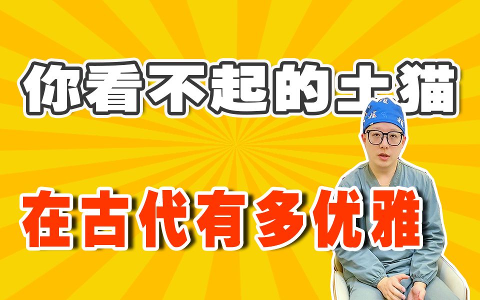 猫咪仙气飘飘的古风名字 你家的叫什么呢?哔哩哔哩bilibili