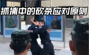 Télécharger la video: 抓捕中的砍杀应对原则