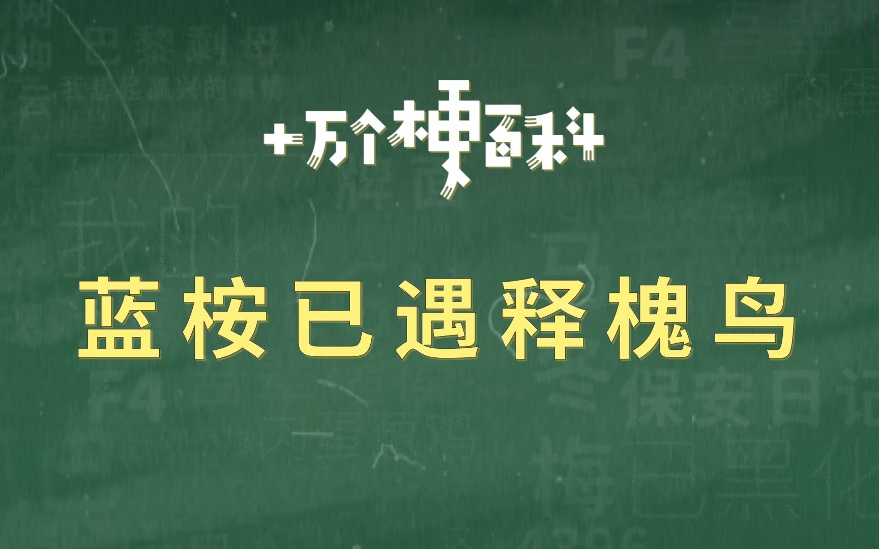 【蓝桉已遇释槐鸟】希望大家都能遇到正确的那个人.哔哩哔哩bilibili