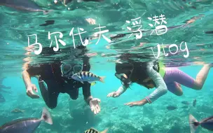 Download Video: 马尔代夫 浮潜 高清重制