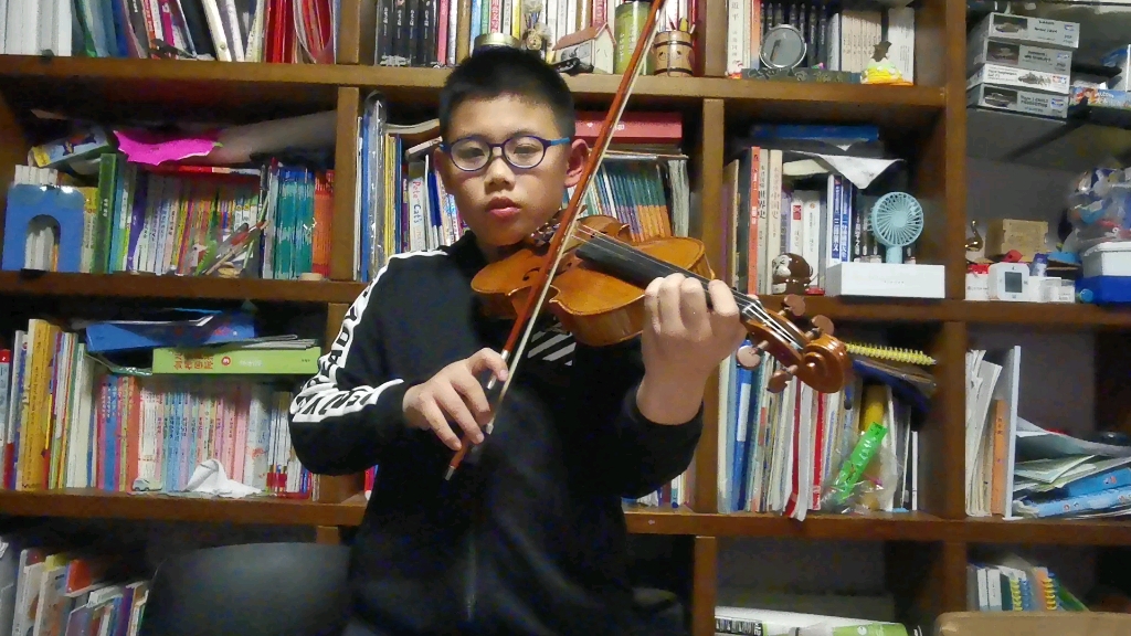 布谷鸟小提琴演奏图片