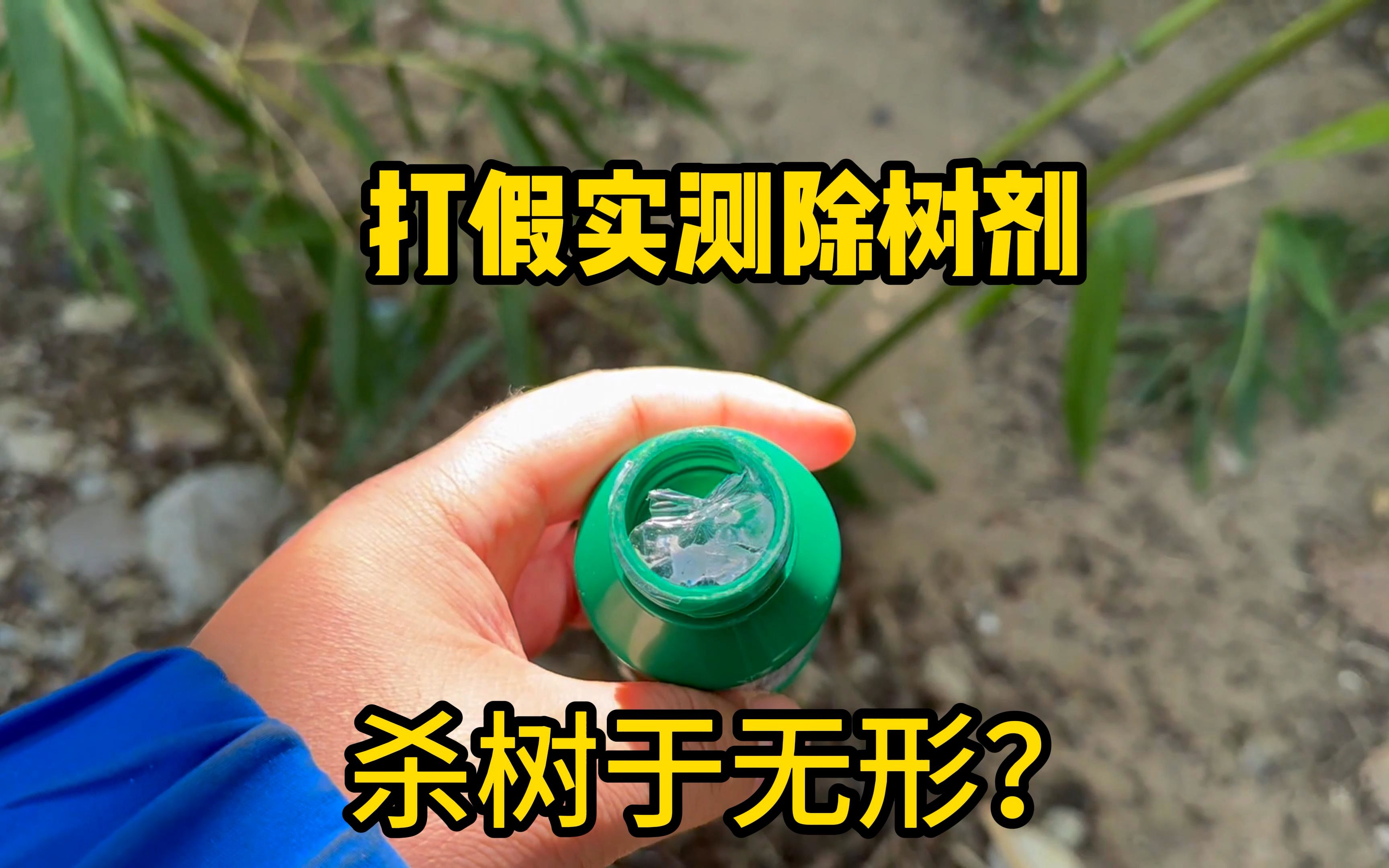 帮粉丝测评一款除树剂，据说杀树除草于无形，不好用能赔一个亿？