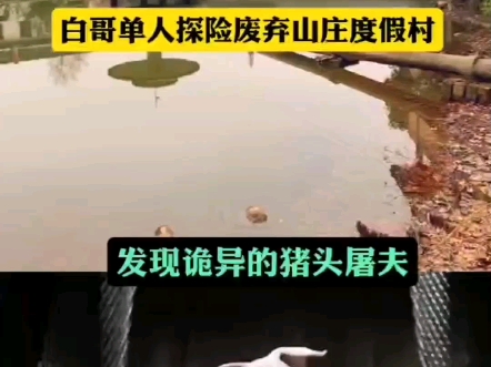 发现诡异的猪头屠夫𐟐𗥓”哩哔哩bilibili