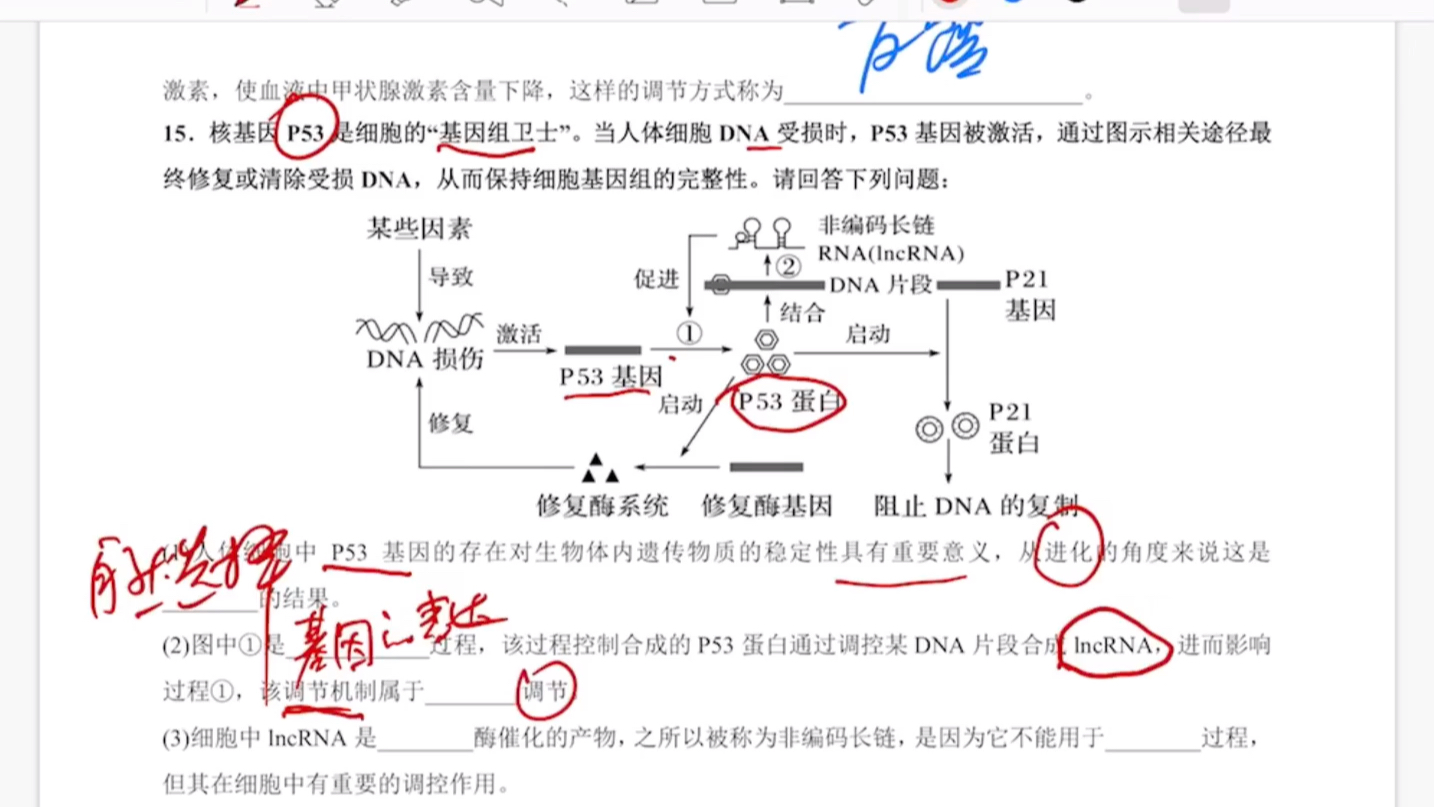 巫山中学高三生物专题六——遗传的分子基础讲解(重庆话)哔哩哔哩bilibili