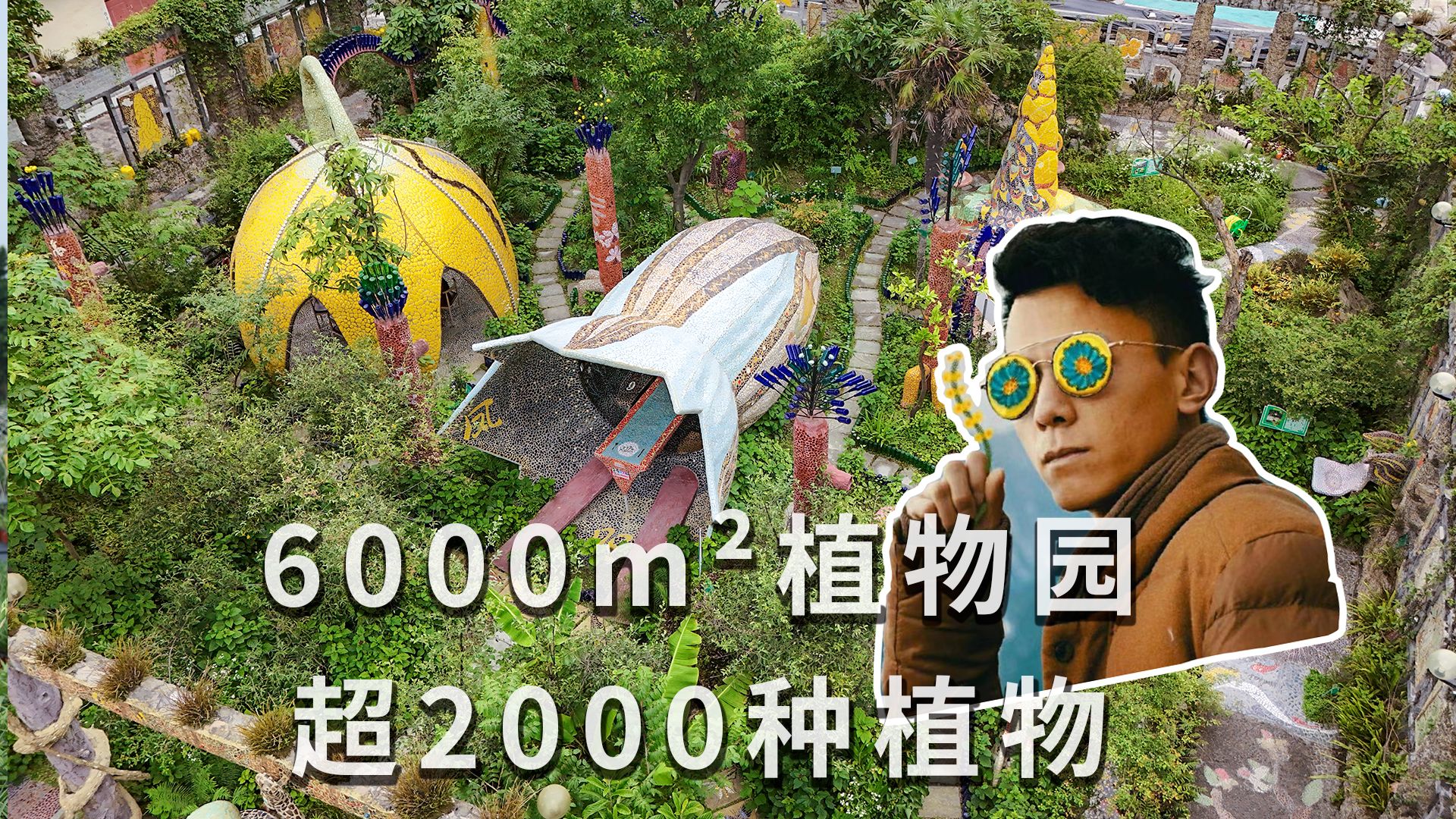 大山里6000㎡的植物园,15年收集超2000种植物哔哩哔哩bilibili